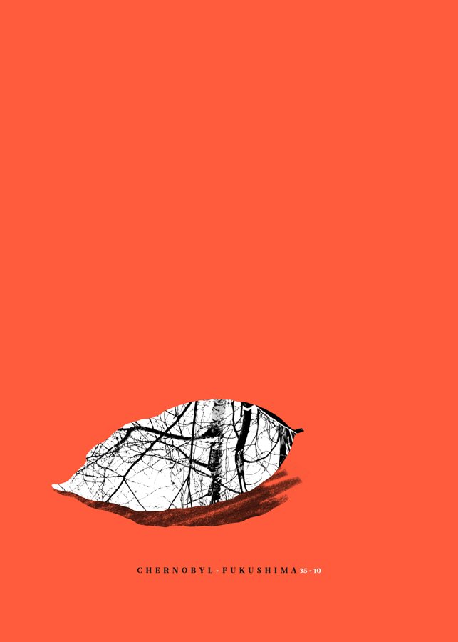 playmoy poster design