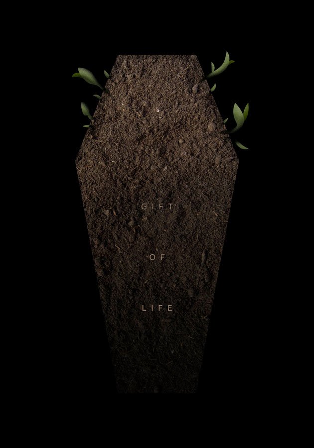 playmoy poster design