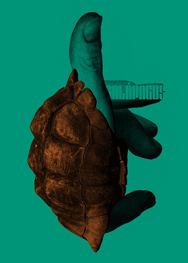 playmoy poster design