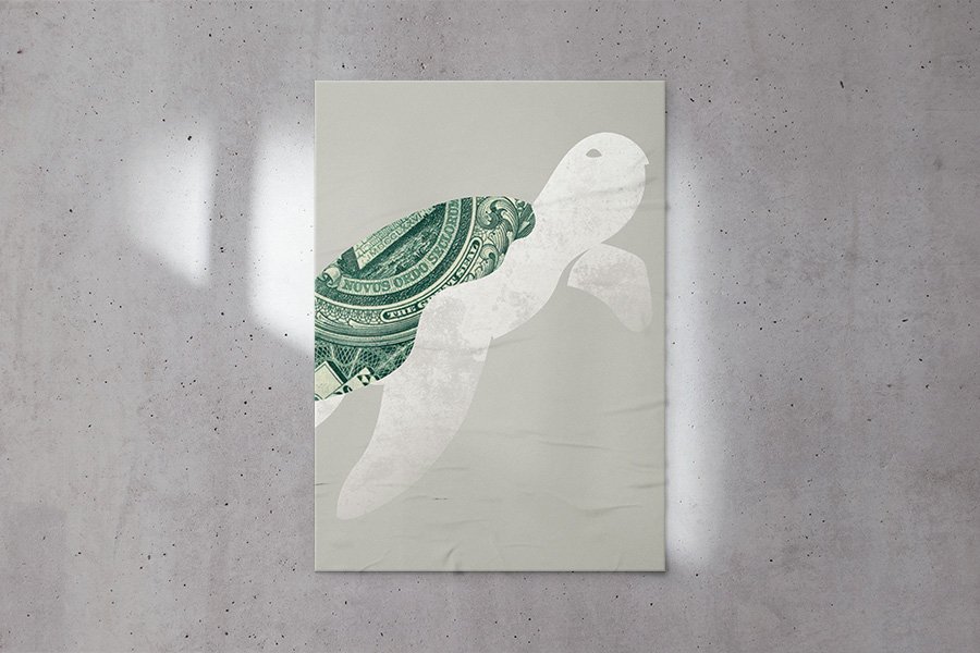 profit-turtle-detail