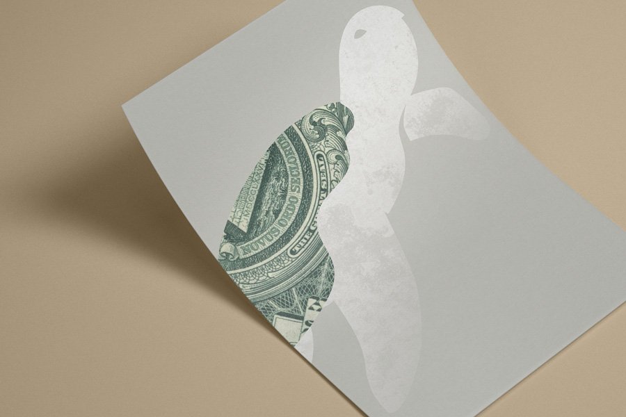 profit-turtle-detail2