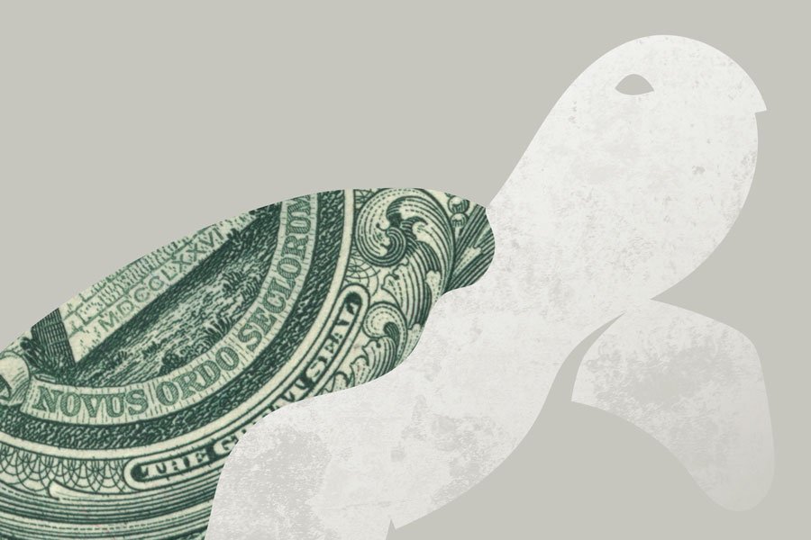 profit-turtle-detail3
