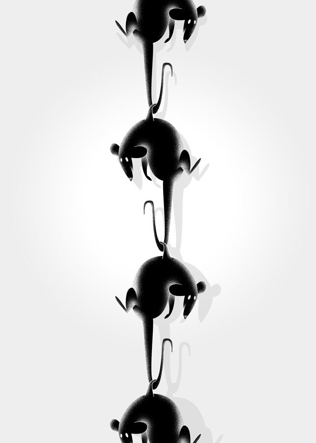 playmoy poster design